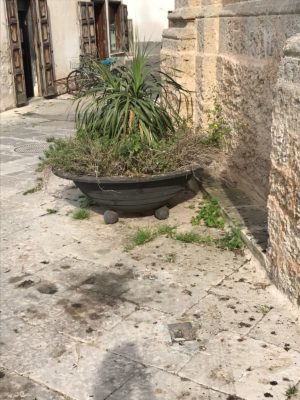 Nobile: la retorica dei nomi, l'inconsistenza dei fatti - Corriere Salentino