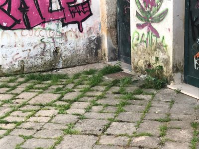 Nobile: la retorica dei nomi, l'inconsistenza dei fatti - Corriere Salentino