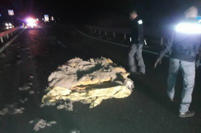 Centra materasso caduto da mezzo in corsa e si schianta contro il guardrail: tragedia sfiorata sulla 101 - Corriere Salentino