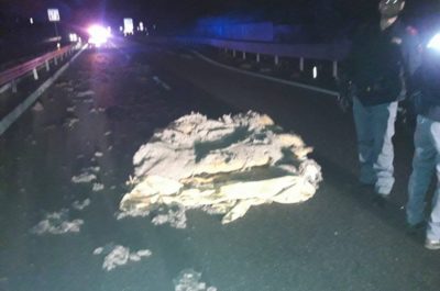 Centra materasso caduto da mezzo in corsa e si schianta contro il guardrail: tragedia sfiorata sulla 101 - Corriere Salentino