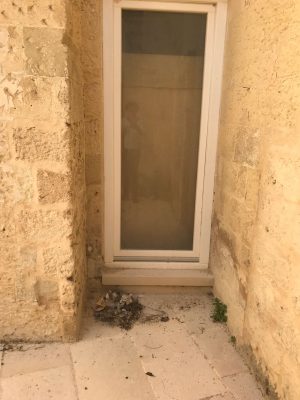 Degrado al Must, la denuncia di alcuni consiglieri di opposizione - Corriere Salentino