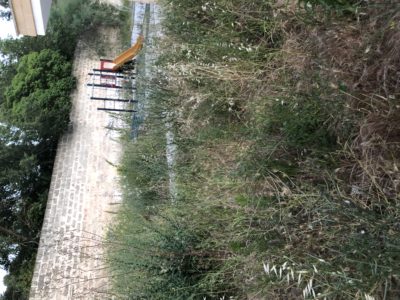 Giordano: “Rione San Pio tra vandalismo, rifiuti abbandonati e ludoteca rifugio per topi. Problema igiene e sicurezza” - Corriere Salentino