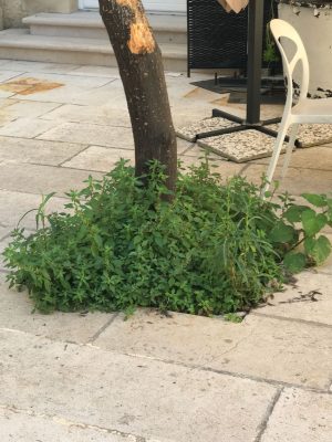 Degrado al Must, la denuncia di alcuni consiglieri di opposizione - Corriere Salentino