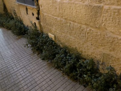 “In via Adua e via Dasummo: spazzatura ed erbacce sui marciapiedi dominano il paesaggio" - Corriere Salentino