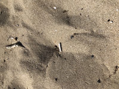 Mozziconi di sigaretta nelle spiagge, un rifiuto nocivo per l’ambiente e la salute: troppi fumatori sporcaccioni - Corriere Salentino