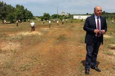 Incontro CIA a Presicce: accelerare su abbattimento delle piante infette e richiesta di risorse aggiuntive - Corriere Salentino