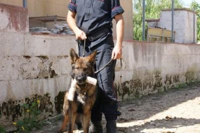 Dopo circa un anno, di nuovo nei guai per spaccio di droga: arrestata coppia di giovani conviventi - Corriere Salentino