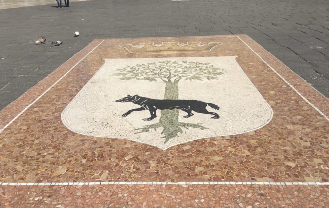 Alla scoperta del Salento: Il mosaico della Lupa a Lecce. Superstizione, storia e leggende - Corriere Salentino