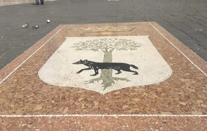 Alla scoperta del Salento: Il mosaico della Lupa a Lecce. Superstizione, storia e leggende - Corriere Salentino
