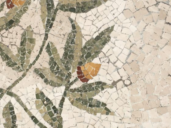 Alla scoperta del Salento: Il mosaico della Lupa a Lecce. Superstizione, storia e leggende - Corriere Salentino