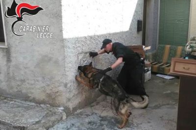 Cocaina ed eroina, ma anche assegni e bancomat "sospetti": in carcere un 64enne - Corriere Salentino