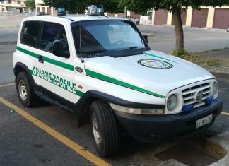 Labrador trovato impiccato su un balcone: Assofido presenta esposto in Procura