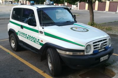 Il corso scappa e si avventa sul barboncino: il cagnolino muore, la proprietaria finisce in ospedale - Corriere Salentino