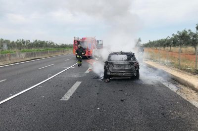 La “maledizione” di Prima Lecce, sventura anche per la consigliera Gigante: l'auto va a fuoco sulla statale - Corriere Salentino