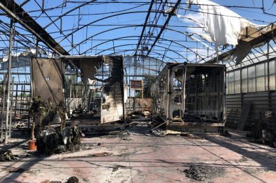 Rogo a mezzanotte, rasa al suolo azienda vivaistica alla periferia di Leverano: ingenti i danni - Corriere Salentino