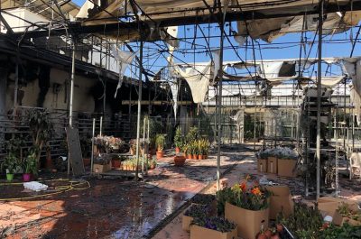 Rogo a mezzanotte, rasa al suolo azienda vivaistica alla periferia di Leverano: ingenti i danni - Corriere Salentino