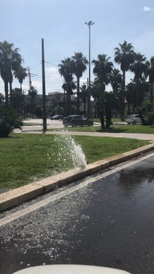 Sprechi a Lecce. Sportello dei diritti: l’irrigatore si rompe, l’acqua zampilla a litri in pieno centro e i vigili non rispondono - Corriere Salentino