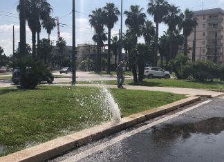 Sprechi a Lecce. Sportello dei diritti: l’irrigatore si rompe, l’acqua zampilla a litri in pieno centro e i vigili non rispondono