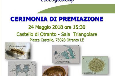 Alla scoperta dell’ecologia, premiazione a Otranto degli studenti vincitori delle gare europee - Corriere Salentino