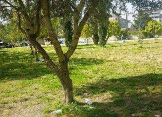 Annullamento concerto a Parco Belloluogo, Giordano: “L’amministrazione si comporta da nemico delle imprese dello spettacolo”