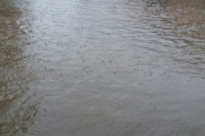 A Lequile allagamenti da 30 anni, i residenti protestano: “Basta un po’ di pioggia e alcune vie si bloccano: bisogna adeguare le fogne” - Corriere Salentino