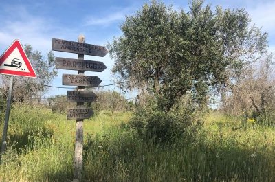 Pronto il piano antincendio del Parco di Rauccio - Corriere Salentino