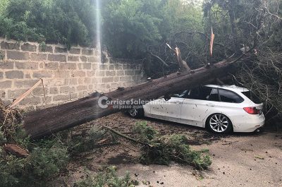 Tromba d'aria nella notte, alberi sradicati e auto distrutte - Corriere Salentino