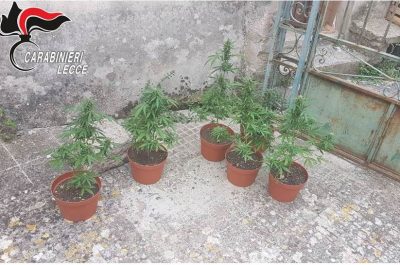 Doppio blitz antidroga, arrestati per spaccio due 21enni: sequestrato circa un chilo di "erba" - Corriere Salentino