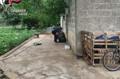Doppio blitz antidroga, arrestati per spaccio due 21enni: sequestrato circa un chilo di "erba" - Corriere Salentino