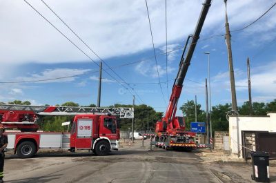 Tromba d'aria nella notte, alberi sradicati e auto distrutte - Corriere Salentino