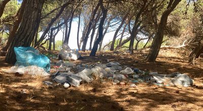 Rifiuti abbandonati in pineta, Torre dell’Orso ancora vittima d'inciviltà - Corriere Salentino