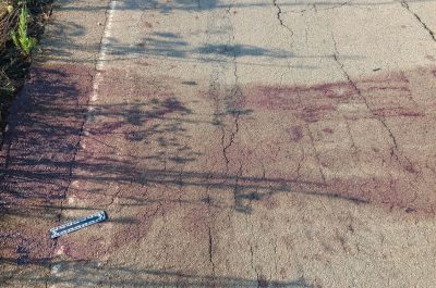 Ucciso con un colpo in testa, poi viene travolto da un'auto: muore un 22enne, in due sottoposti allo stub - Corriere Salentino