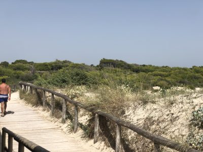 Torre San Giovanni, quel piccolo angolo di paradiso all’altezza del Lido Malibù - Corriere Salentino