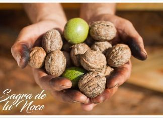 A Nociglia parte oggi la “Sagra te lu noce”