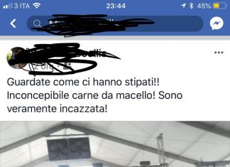 Disagi e proteste al Palafiere, Foresio: “Comune non coinvolto, ma faremo chiarezza”