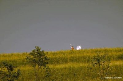 I teatri della Cupa e le ideali esplorazioni delle R-esistenze imperfette del vivere - Corriere Salentino