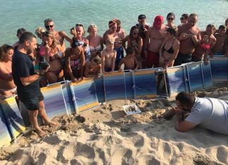 Le “Caretta Caretta” nidificano tra i bagnanti. Spettacolare e casuale ritrovamento a Torre Lapillo