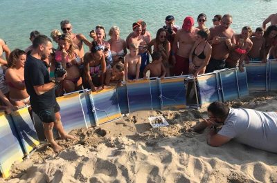Le “Caretta Caretta” nidificano tra i bagnanti. Spettacolare e casuale ritrovamento a Torre Lapillo - Corriere Salentino