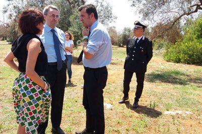 Il ministro Centinaio a Lecce, Emiliano chiede un decreto per accelerare i tagli e un grande risarcimento per gli olivicoltori - Corriere Salentino