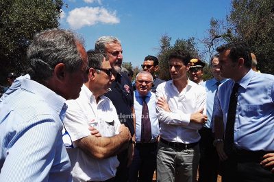 Il ministro Centinaio a Lecce, Emiliano chiede un decreto per accelerare i tagli e un grande risarcimento per gli olivicoltori - Corriere Salentino