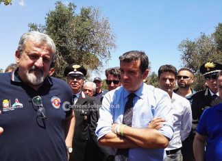 Xylella, il giallo della firma dei decreti: Centinaio annuncia, ma per Stefano è un bluff