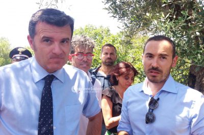 Il ministro Centinaio a Lecce, Emiliano chiede un decreto per accelerare i tagli e un grande risarcimento per gli olivicoltori - Corriere Salentino