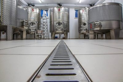 Nati per insegnarvi a bere sano e naturale - Corriere Salentino