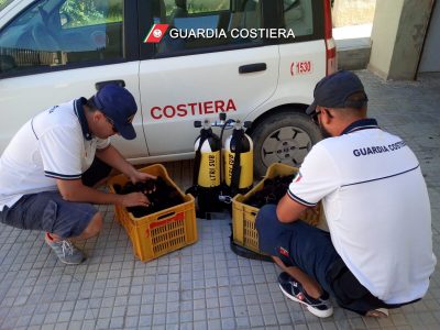Multe a raffica per i noleggiatori delle attrezzature balneari che non rispettano le regole - Corriere Salentino