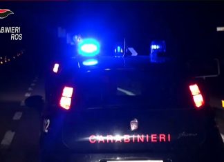 Droga, vigilanza e pesce: scacco alla Scu “imprenditoriale”, stroncata la rinascita del clan Tornese