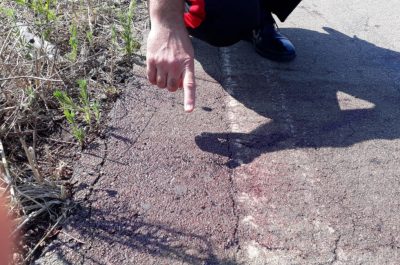 Ucciso con un colpo in testa, poi viene travolto da un'auto: muore un 22enne, in due sottoposti allo stub - Corriere Salentino