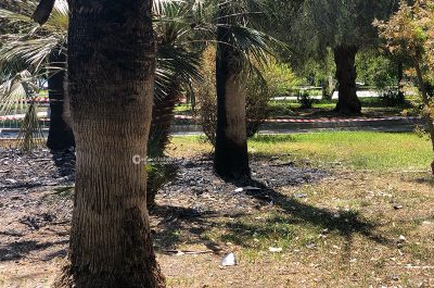 Ancora vandali al Parco Tafuro, in fiamme parte della palme piantumate - Corriere Salentino