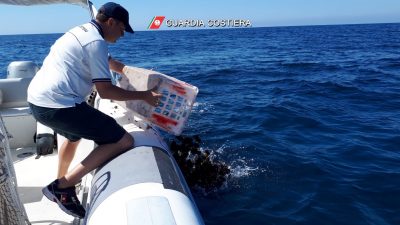 Pescatore fermato con 600 ricci invece avrebbe potuto pescarne solo 50, scatta il sequestro da parte della Capitaneria e una multa da 4mila euro - Corriere Salentino