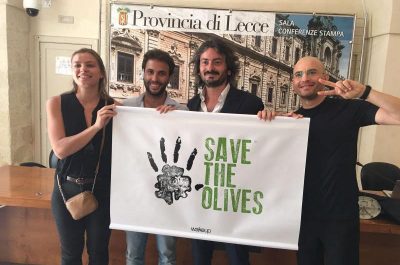 Xylella, “Save the Olives” porta i cameristi della Scala di Milano in un uliveto di Tiggiano - Corriere Salentino