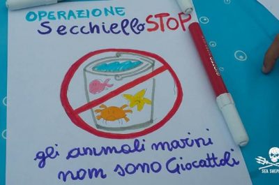 L’Eco-day di Sea Shepherd a Torre Chianca - Corriere Salentino